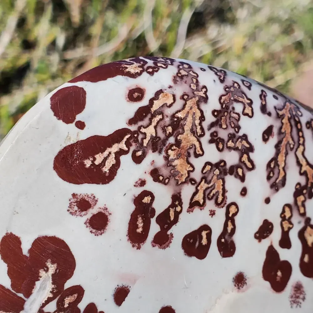 Picture Stone Jasper Dendritic Dendrite Display Freeform 706 Gram